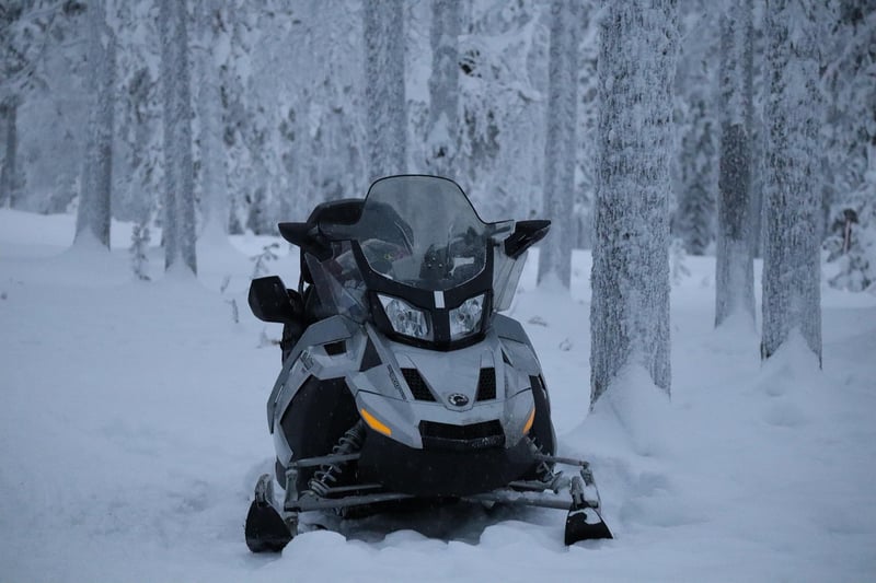 Snowmobiling